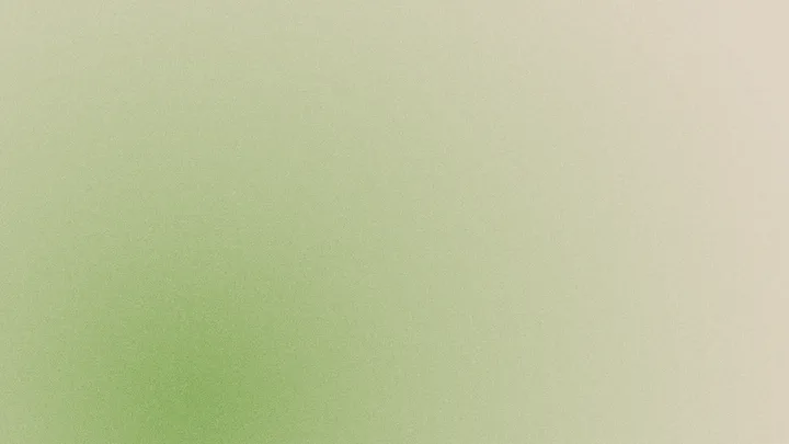 Mesh / Version 2
